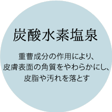 炭酸水素塩泉（重曹成分の作用により、皮膚表面の角質をやわらかにし、皮脂や汚れを落とす）